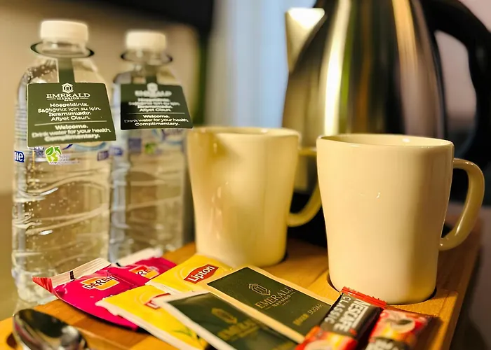 Emerald Mansion מלון